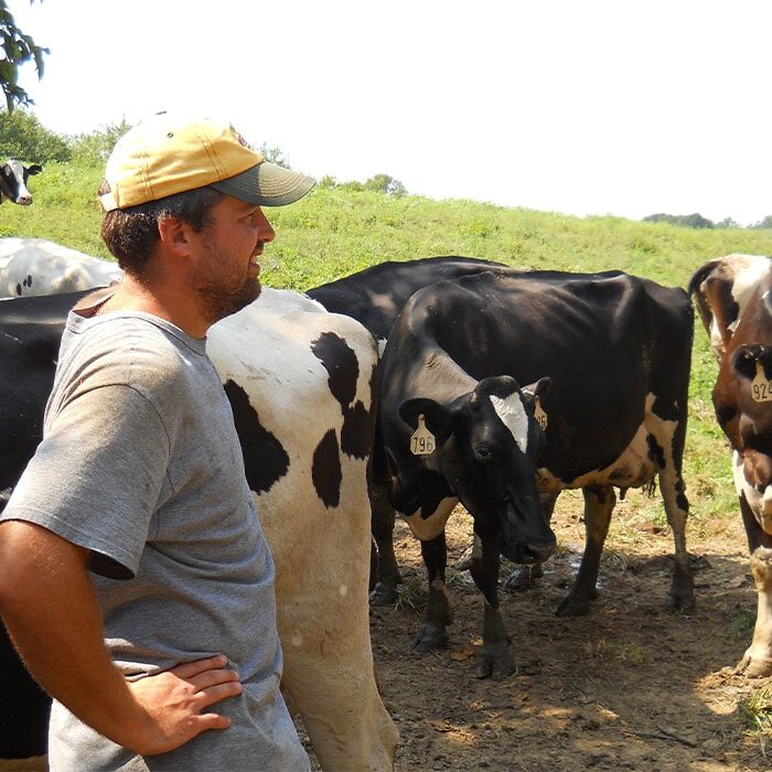 A farmer stands in a group of cows with his hand on his hip.