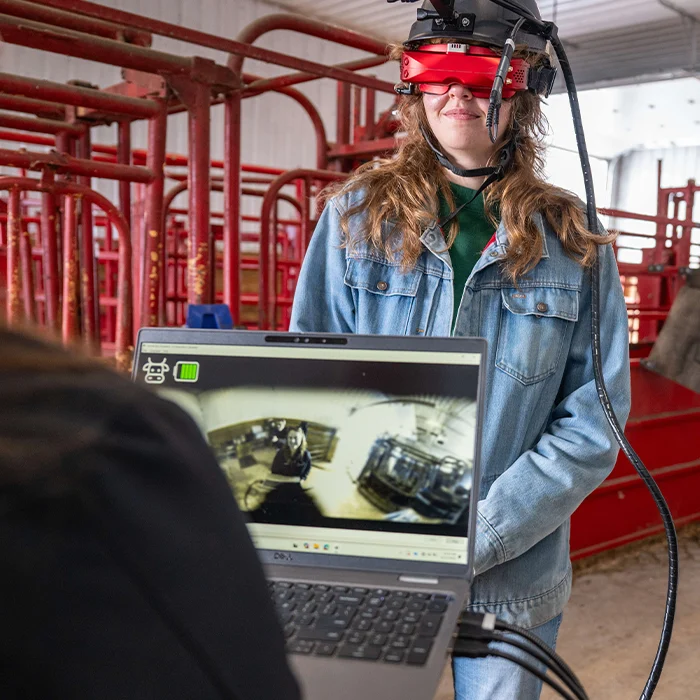 kg-project-eyes-have-it-hero