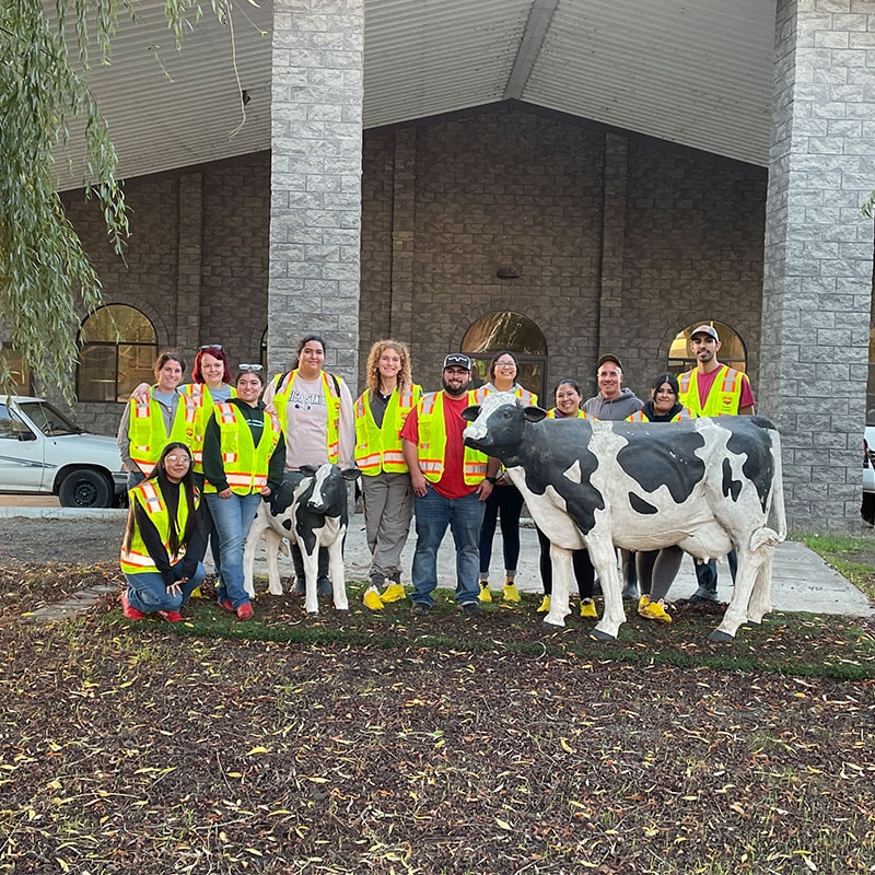 Eleven students and one teach in high vis vests pose together next to a statue of a cow and calf.