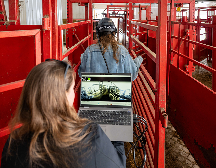 kg-project-eyes-have-it-goals