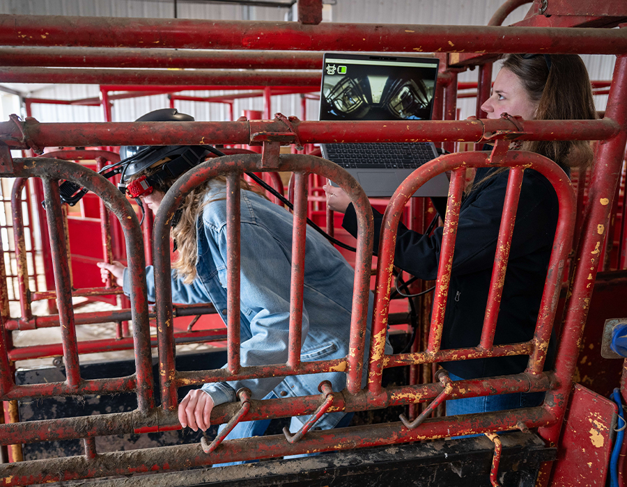 kg-project-eyes-have-it-outcomes