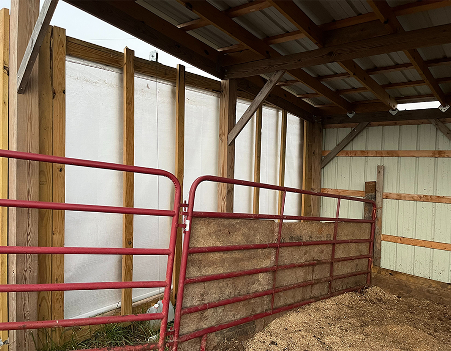 Red metal gate inside a wooden livestock shelter with a partially open wall and a dirt floor.