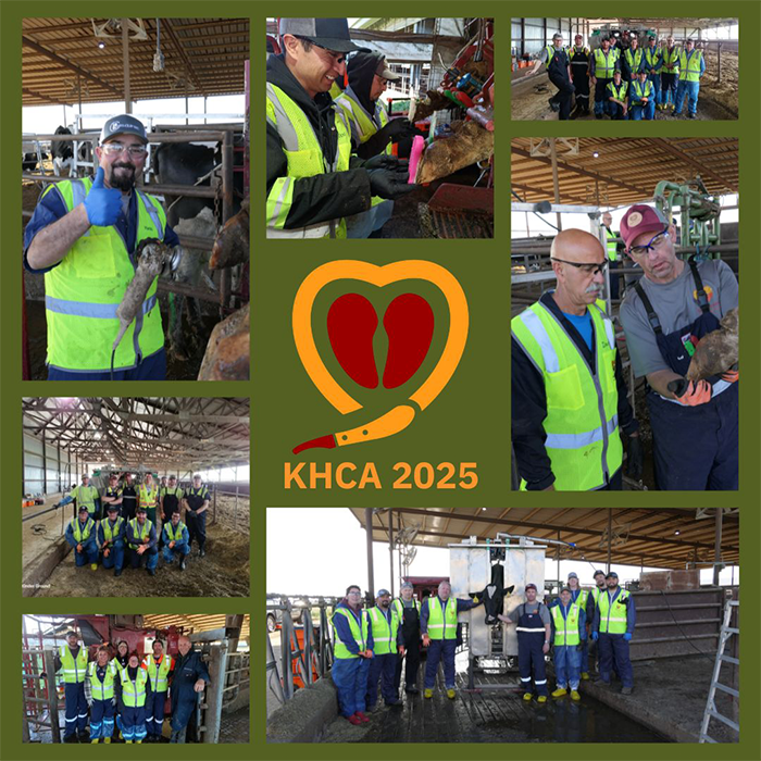 Collage of people in safety vests working with cows inside a barn, with "KHCA 2025" and a heart logo in the center.
