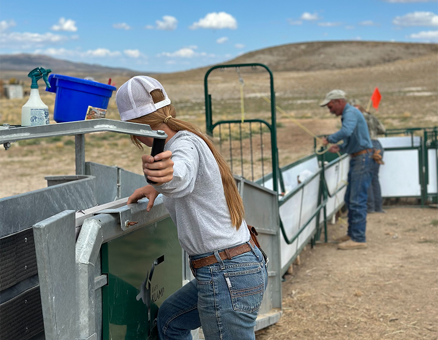 A woman in jeans and a hat works at a livestock chute; a man stands in the background on a ranch.